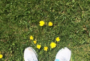 dandy4