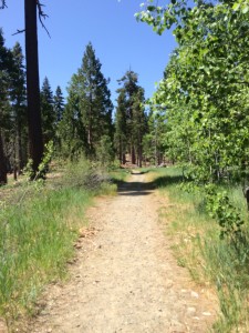 path