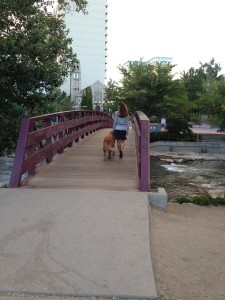 pic5