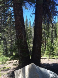 ml28