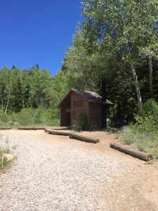ml29