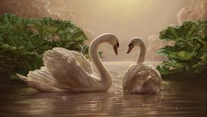loveswan