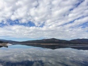 reflect