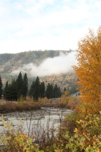 fog19