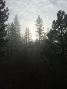 fog5