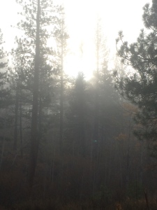 fog6